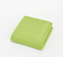 Load image into Gallery viewer, Microfiber fitness towel Cold sports towel Itdinos