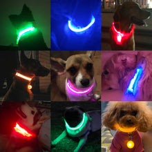 Load image into Gallery viewer, USB Charging Led Dog Collar Itdinos
