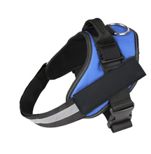 Load image into Gallery viewer, Dog Name Collar Vest Itdinos