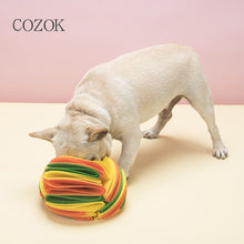 Load image into Gallery viewer, Pet Snuffle Ball Toy Itdinos