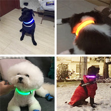 Load image into Gallery viewer, Rechargable Dog LED Flashing Collar Itdinos