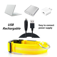 Load image into Gallery viewer, Rechargable Dog LED Flashing Collar Itdinos