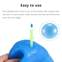Load image into Gallery viewer, Kids Bubble Ball Balloon Indoor Outdoor Inflatable Ball Games Toys Soft Air Water Filled Bubble Ball Blow Up Balloon Toy Itdinos