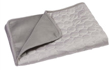 Load image into Gallery viewer, Pet Pad Summer Cooling Mat Dog Beds Mats Blue Pet Ice Pad Cool Cold Silk Moisture-Proof Cooler Mattress Cushion Puppy Itdinos