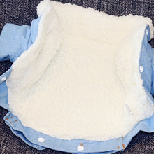 Load image into Gallery viewer, Luxury Winter Dog Jackets Itdinos