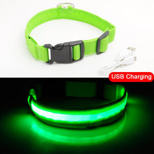 Load image into Gallery viewer, USB Charging Led Dog Collar Anti-Lost/Avoid Car Accident Collar Itdinos