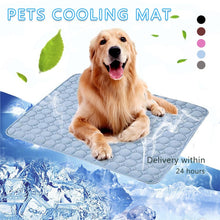Load image into Gallery viewer, Pet Pad Summer Cooling Mat Dog Beds Mats Blue Pet Ice Pad Cool Cold Silk Moisture-Proof Cooler Mattress Cushion Puppy Itdinos