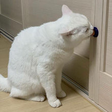 Load image into Gallery viewer, Cat Candy Treat Itdinos