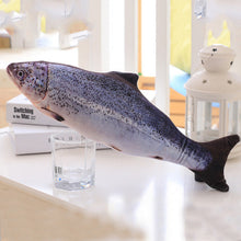 Lade das Bild in den Galerie-Viewer, 1PC 3D Fish Creative Pet Cat Kitten Chewing Cat Toys Doll Catnip Stuffed Fish Interactive Kitten Playing Toy Stuffed Pillow Itdinos