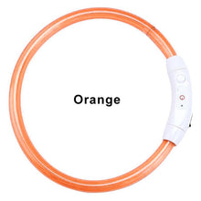 Load image into Gallery viewer, LED Dog Collar USB Charging Flashing Night Cat Collars Luminous Anti-Lost Avoid Car Accident Safety Pets Harnesses Leads Itdinos