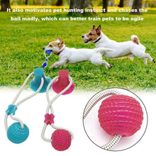 Load image into Gallery viewer, Dog Chew Toy With Suction Cup Itdinos