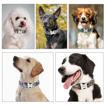 Load image into Gallery viewer, Dog Collar Nylon Pet Dog Tag Collar Adjustable Engraved Puppy Cat Nameplate ID Collars For Small Large Dogs Itdinos