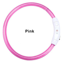 Load image into Gallery viewer, LED Dog Collar USB Charging Flashing Night Cat Collars Luminous Anti-Lost Avoid Car Accident Safety Pets Harnesses Leads Itdinos