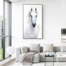 Lade das Bild in den Galerie-Viewer, Nordic Style White Horse Canvas White Poster Print Modern Wall Art Pictures Itdinos