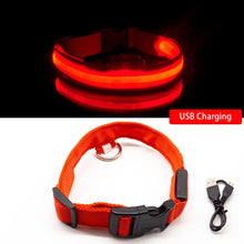 Load image into Gallery viewer, USB Charging Led Dog Collar Itdinos
