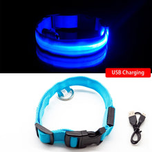 Load image into Gallery viewer, USB Charging Led Dog Collar Itdinos