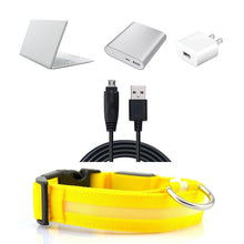 Load image into Gallery viewer, Rechargable Dog LED Flashing Collar Itdinos