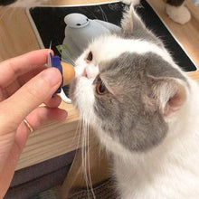 Load image into Gallery viewer, Cat Candy Treat Itdinos