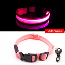 Load image into Gallery viewer, USB Charging Led Dog Collar Itdinos
