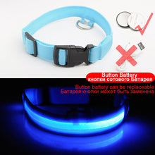 Load image into Gallery viewer, USB Charging Led Dog Collar Anti-Lost/Avoid Car Accident Collar Itdinos