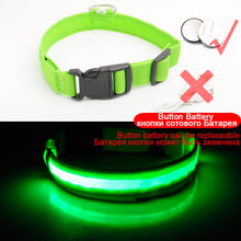 Load image into Gallery viewer, USB Charging Led Dog Collar Anti-Lost/Avoid Car Accident Collar Itdinos