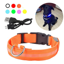 Load image into Gallery viewer, Rechargable Dog LED Flashing Collar Itdinos