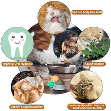 Load image into Gallery viewer, Catnip Wall Ball Toys for Cats Itdinos
