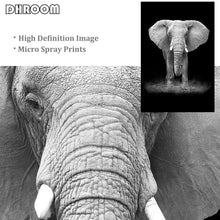 Lade das Bild in den Galerie-Viewer, Canvas Painting Animal Wall Art Itdinos