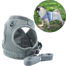 Lade das Bild in den Galerie-Viewer, Reflective Safety Pet Dog Harness and Leash Set for Small Medium Dogs Cat Harnesses Vest Puppy Chest Strap Pug Chihuahua Bulldog Itdinos