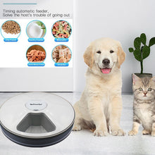 Load image into Gallery viewer, Round Timing Feeder Automatic Pet Feeder 6 Meals 6 Grids Cat Dog Electric Dry Food Dispenser 24 Hours Feed Pet Supplies 40%off Itdinos