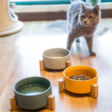 Load image into Gallery viewer, Ceramic Raised Cat Bowl With Wood Stand Itdinos