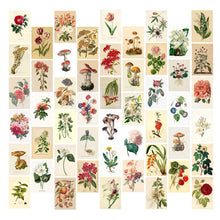 Lade das Bild in den Galerie-Viewer, 50pcs/set Wall Collage Aesthetic Photo Postcard Art Pictures Collage Itdinos