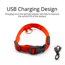 Load image into Gallery viewer, USB Charging Led Dog Collar Itdinos