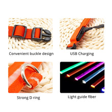 Load image into Gallery viewer, USB Charging Led Dog Collar Itdinos
