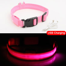 Load image into Gallery viewer, USB Charging Led Dog Collar Anti-Lost/Avoid Car Accident Collar Itdinos
