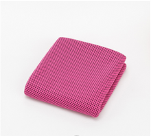 Load image into Gallery viewer, Microfiber fitness towel Cold sports towel Itdinos