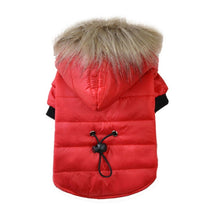 Load image into Gallery viewer, Warm Winter Small Dog Jackets Itdinos