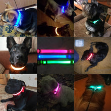 Load image into Gallery viewer, USB Charging Led Dog Collar Anti-Lost/Avoid Car Accident Collar Itdinos