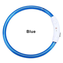 Load image into Gallery viewer, LED Dog Collar USB Charging Flashing Night Cat Collars Luminous Anti-Lost Avoid Car Accident Safety Pets Harnesses Leads Itdinos