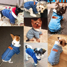 Lade das Bild in den Galerie-Viewer, Luxury Winter Dog Jacket Itdinos
