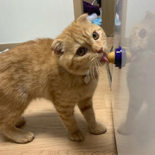 Load image into Gallery viewer, Cat Candy Treat Itdinos