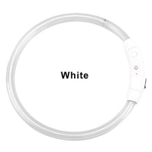 Load image into Gallery viewer, LED Dog Collar USB Charging Flashing Night Cat Collars Luminous Anti-Lost Avoid Car Accident Safety Pets Harnesses Leads Itdinos