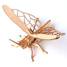 Load image into Gallery viewer, DIY Wooden Insect Model Puzzle for Kids (3D Craft) ITDinos®
