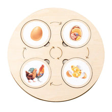 Load image into Gallery viewer, Montessori Wooden Animal Life Cycle Puzzle for Kids ITDinos®

