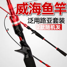 Load image into Gallery viewer, Complete Fishing Rod and Reel Set for Amazon Lure ITDinos®
