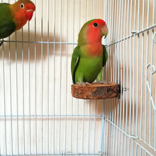 Lade das Bild in den Galerie-Viewer, Apple Wood Parrot Stand and Swing Toy for Birds ITDinos®
