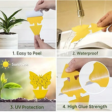 Lade das Bild in den Galerie-Viewer, 100pcs Yellow Sticky Traps for Fruit Flies &amp; Gnats
