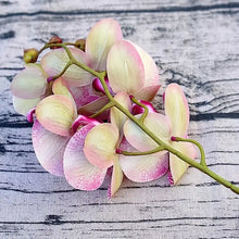 Load image into Gallery viewer, Artificial 6-Head Phalaenopsis Orchid
