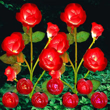 Load image into Gallery viewer, Color-Changing Solar Garden Roses
