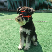 Lade das Bild in den Galerie-Viewer, UV Resistant Soft Frame Dog Goggles and Sunglasses ITDinos®
